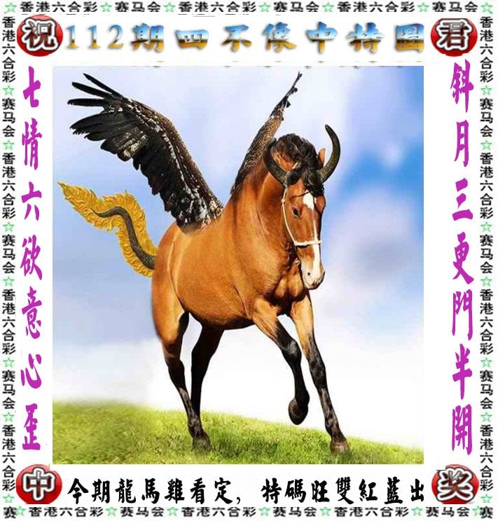 澳49图库图资料2024