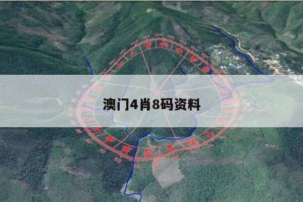 澳门4肖8码资料