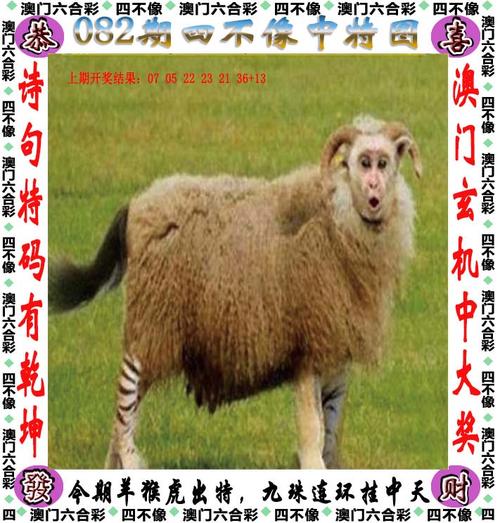 新奥最精准免费大全,新奥最精准免费大全管家婆