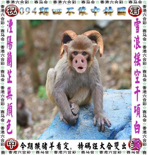 2023澳门龙门客栈,2023澳门龙门客栈解码图